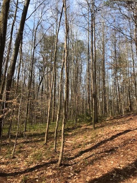 3 Cotton Road Canton, GA 30115 - Photo 2 of 10