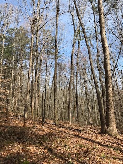 3 Cotton Road Canton, GA 30115 - Photo 3 of 10