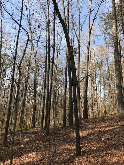 3 Cotton Road Canton, GA 30115 - Photo 4 of 10