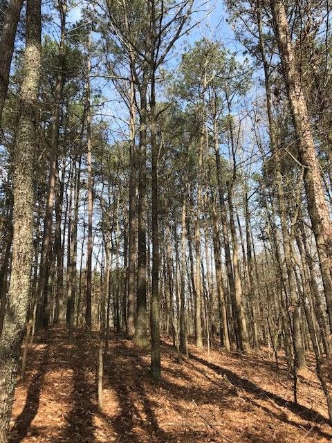 3 Cotton Road Canton, GA 30115 - Photo 5 of 10