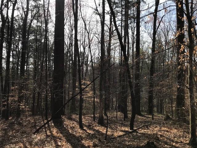 3 Cotton Road Canton, GA 30115 - Photo 6 of 10