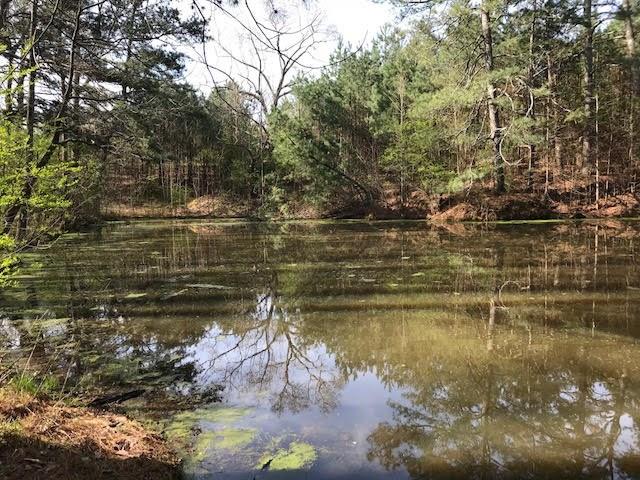 3 Cotton Road Canton, GA 30115 - Photo 7 of 10