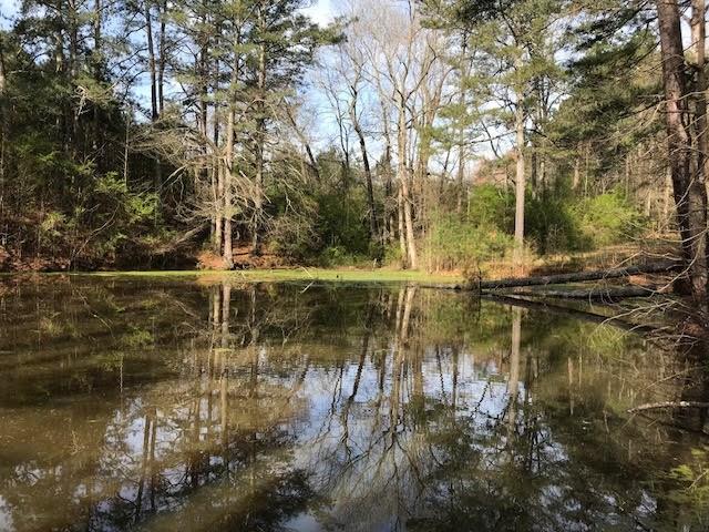 3 Cotton Road Canton, GA 30115 - Photo 8 of 10