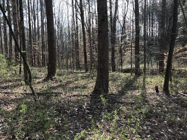 3 Cotton Road Canton, GA 30115 - Photo 9 of 10