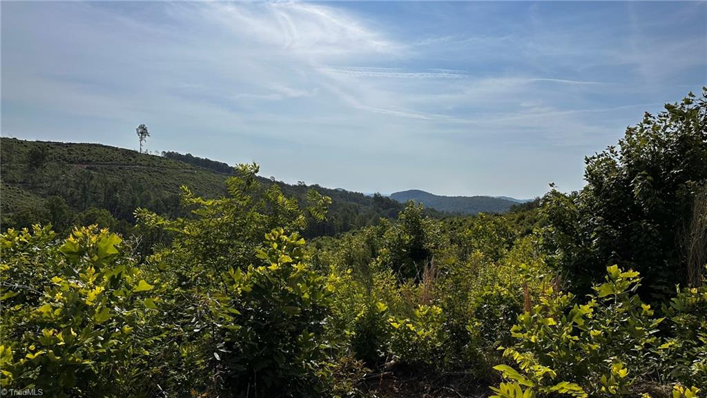 Tbd Hose Road Moravian Falls, NC 28654 - Photo 18 of 20