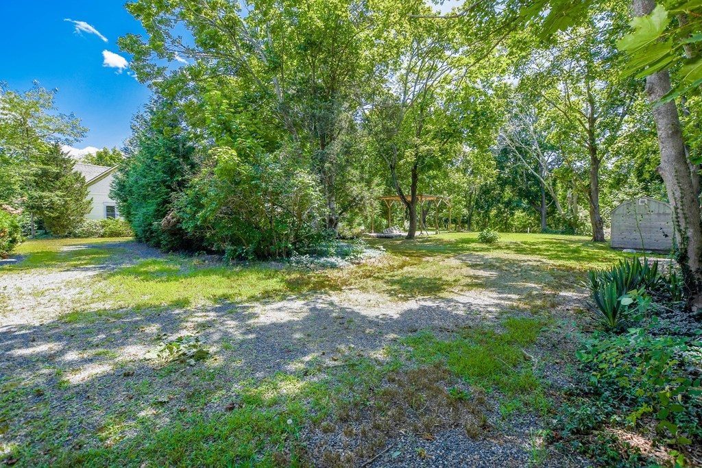 56 Marion Road Rochester, MA 02770 - Photo 38 of 39 a view of a field with a tree