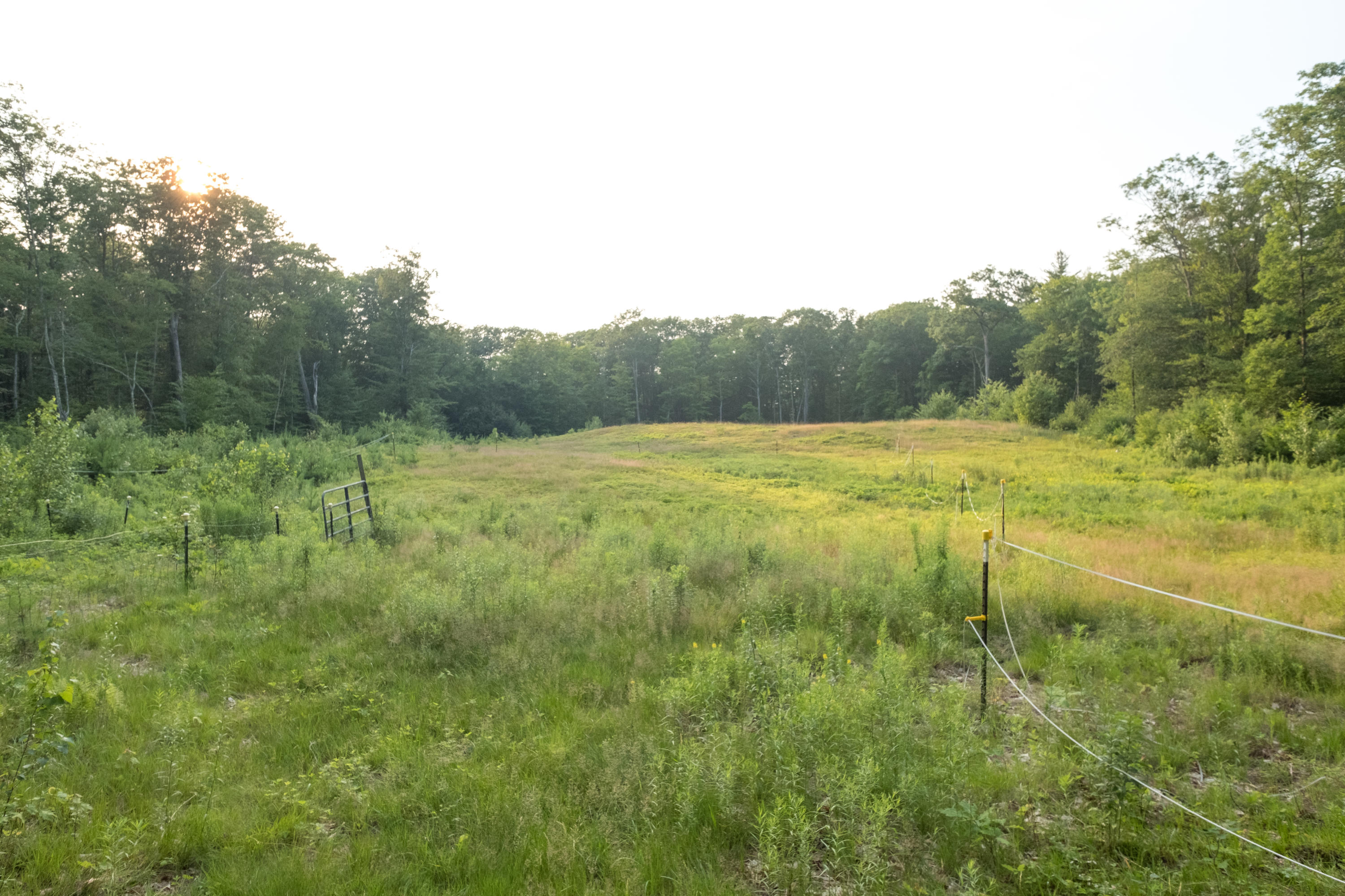 333 Bonny Eagle Road Standish, ME 04084 - Photo 77 of 79 pasture-1206