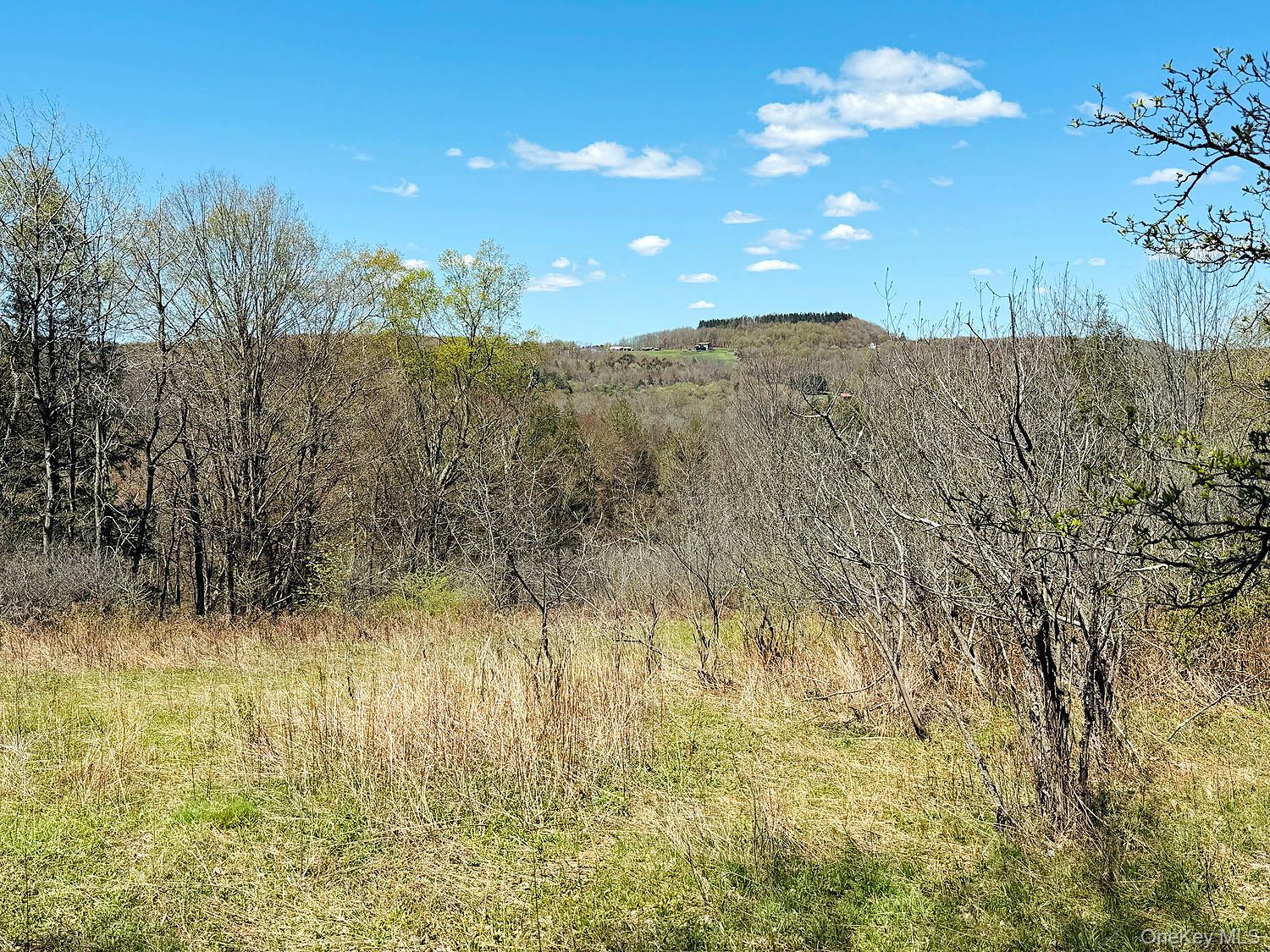Hubert Road Jeffersonville, NY 12748 - Photo 3 of 19