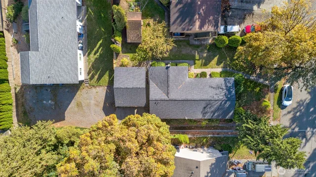 a potted plant sitting in front of a house
