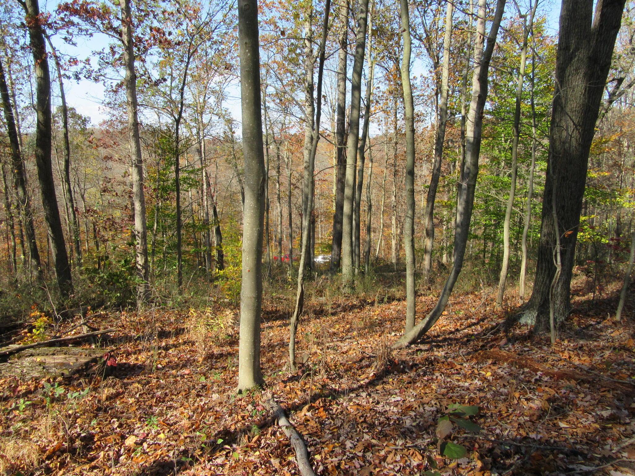 0 Larimer Road Logan, OH 43138 - Photo 4 of 10