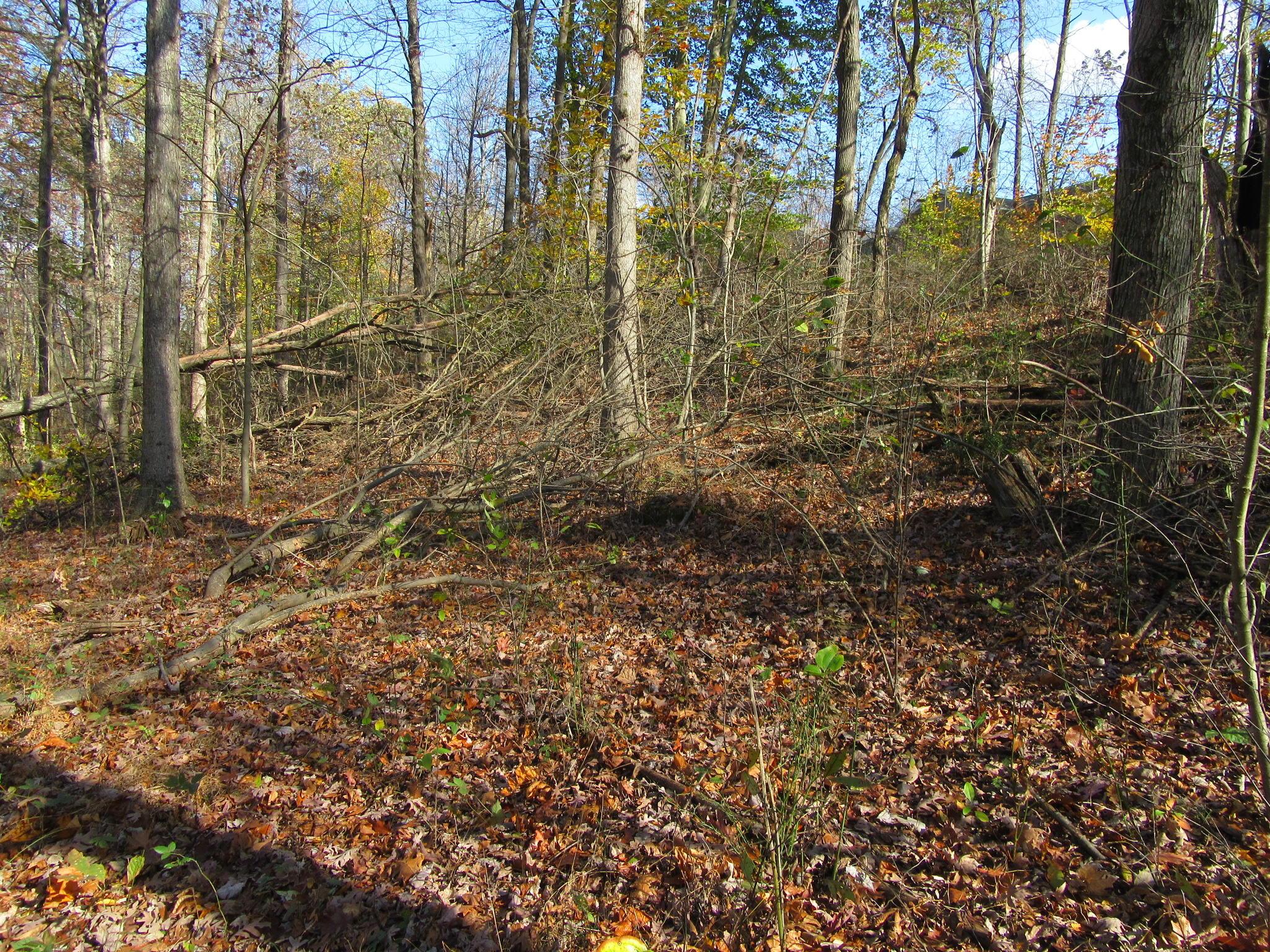 0 Larimer Road Logan, OH 43138 - Photo 5 of 10