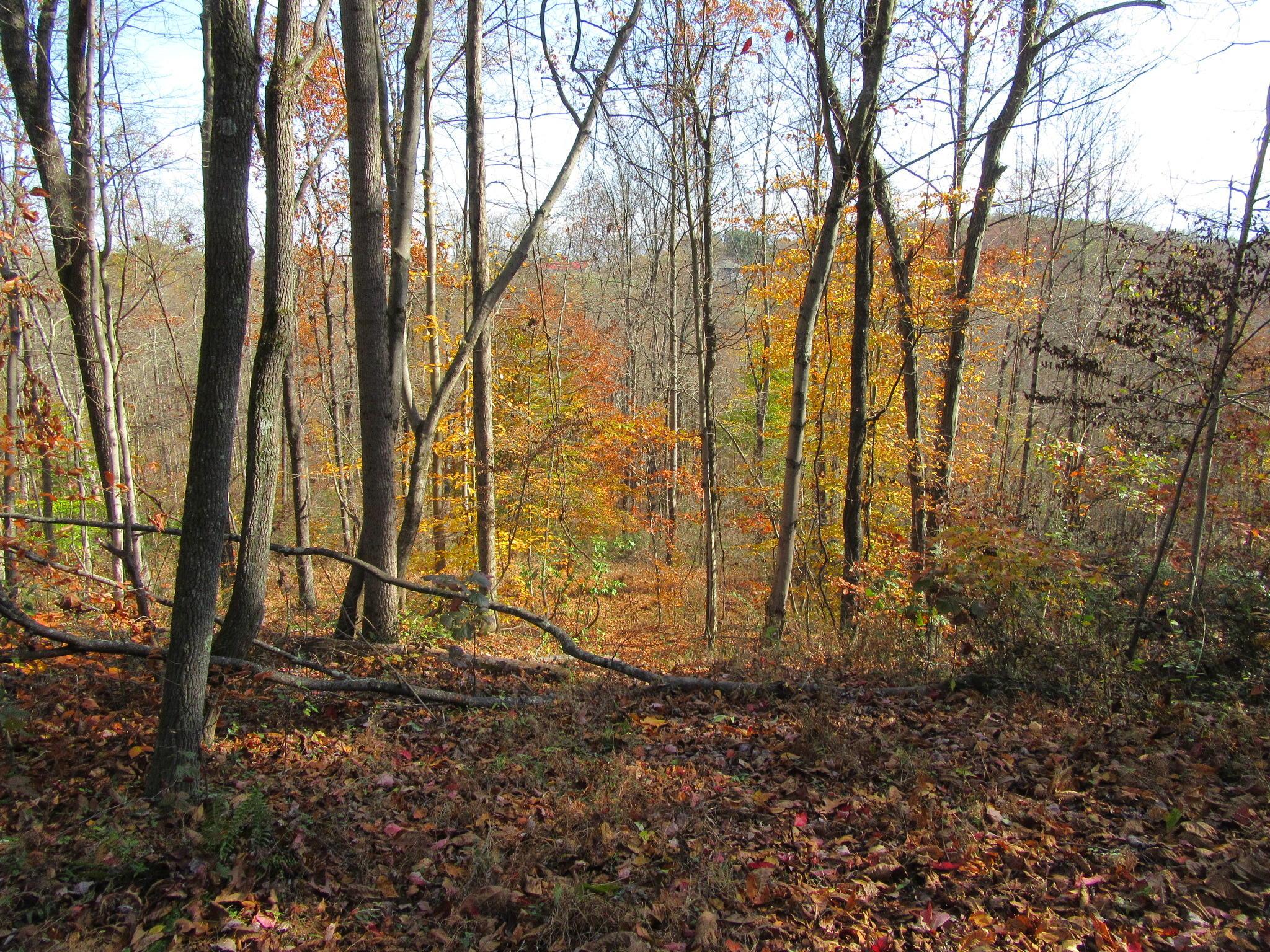 0 Larimer Road Logan, OH 43138 - Photo 10 of 10