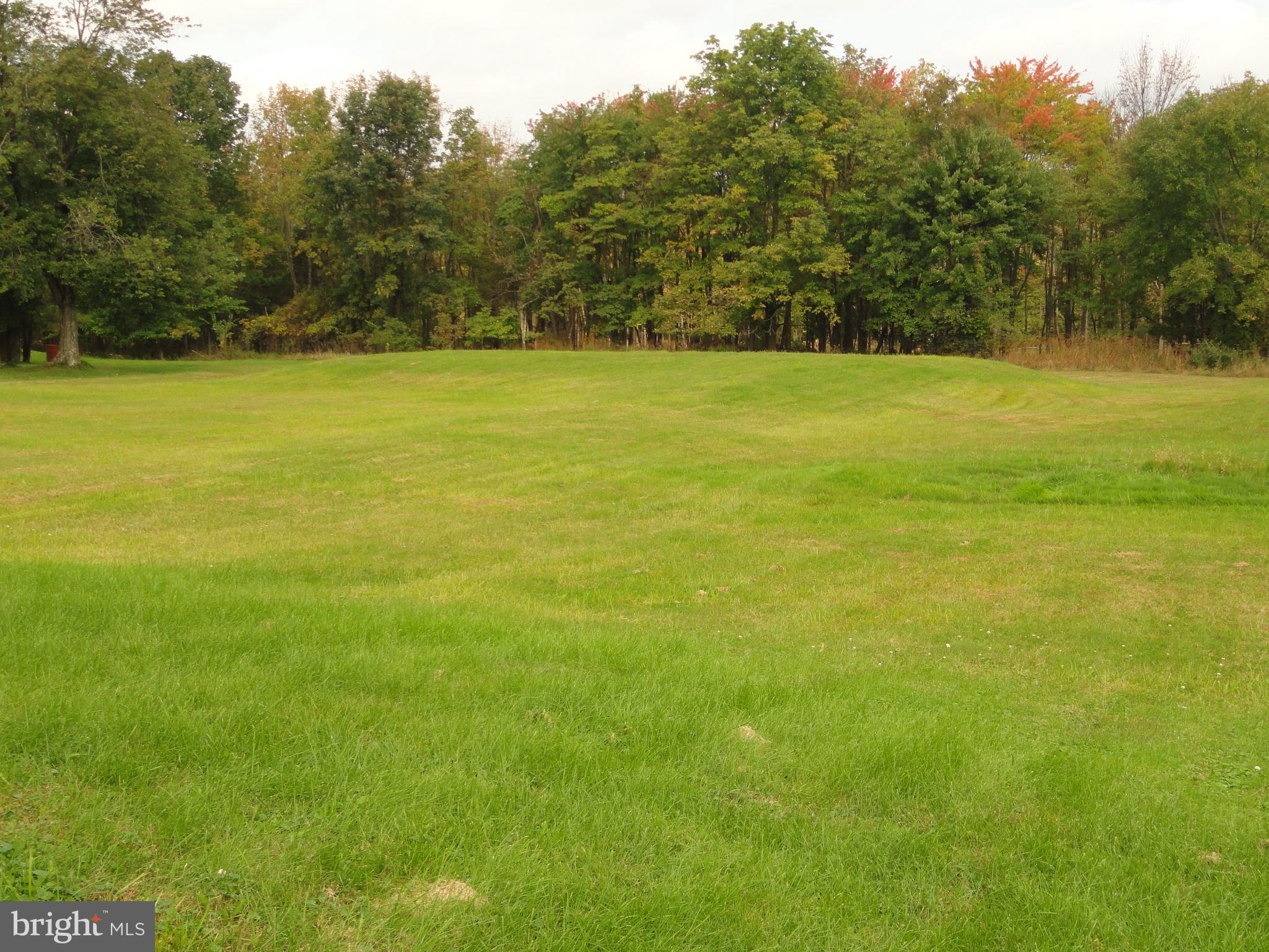 2365 Hill Road Perkiomenville, PA 18074 - Photo 26 of 27 Rear yard of the property backs to woods.