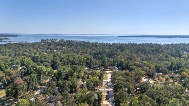 an aerial view of a city and trees