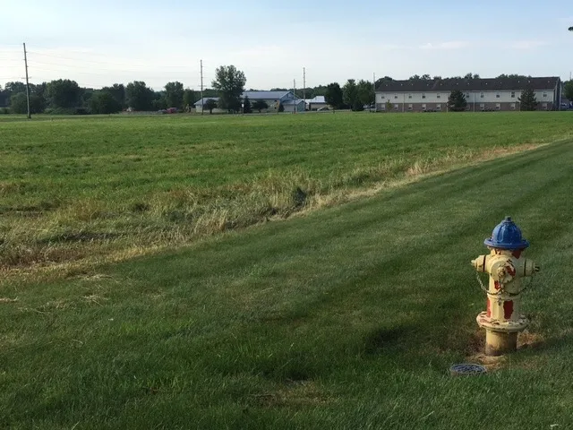 a view of a golf course with a garden
