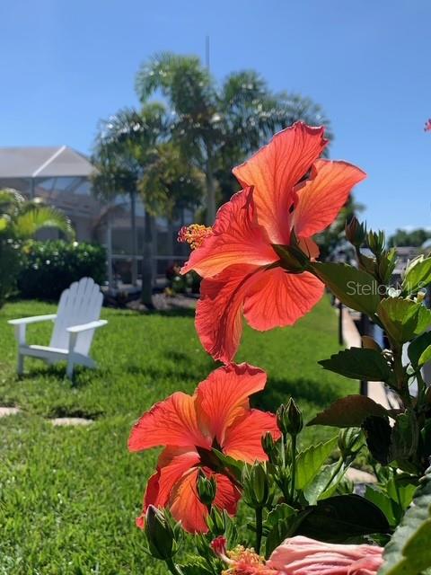 391 Vía Esplanade Punta Gorda, FL 33950 - Photo 56 of 60 a view of a yard in front of the house