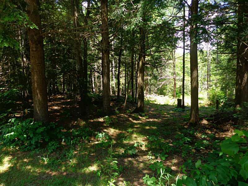 2380 Camden Road Warren, ME 04864 - Photo 29 of 30 Land/Lot.