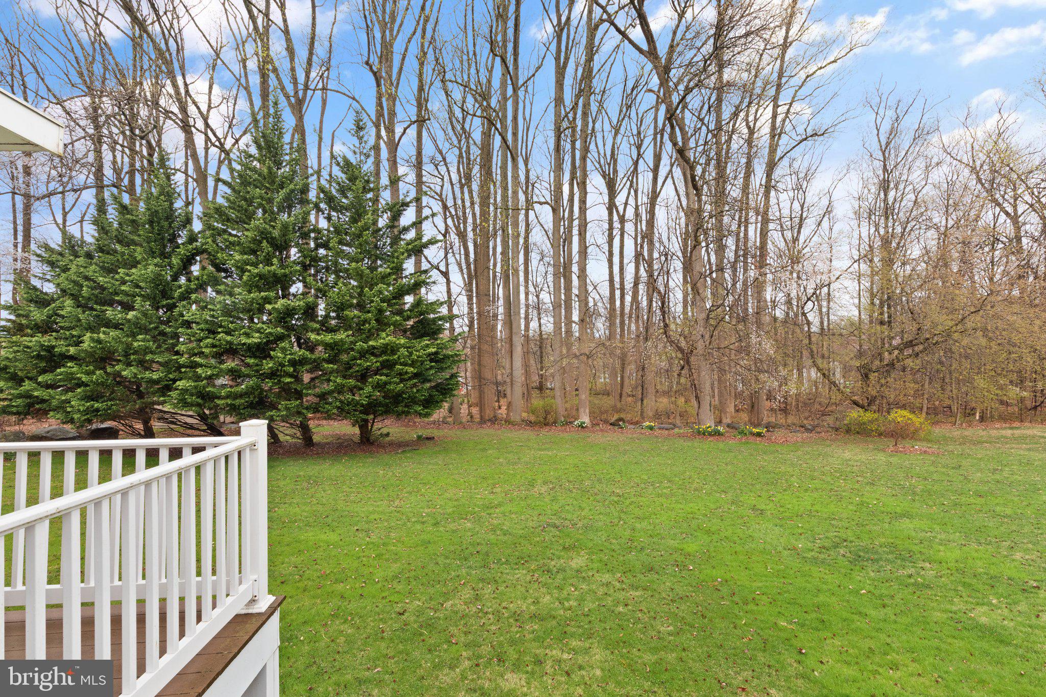 511 Copeland Road Fallston, MD 21047 - Photo 15 of 49 a view of backyard with green space