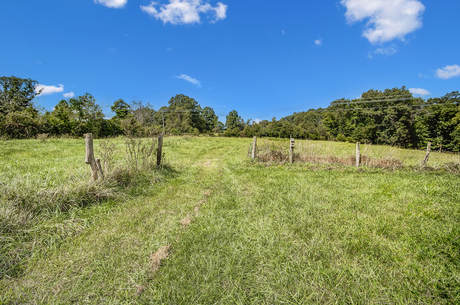 11832 Lees Road Alexandria, KY 41001 - Photo 42 of 50 Gallery Image 42
