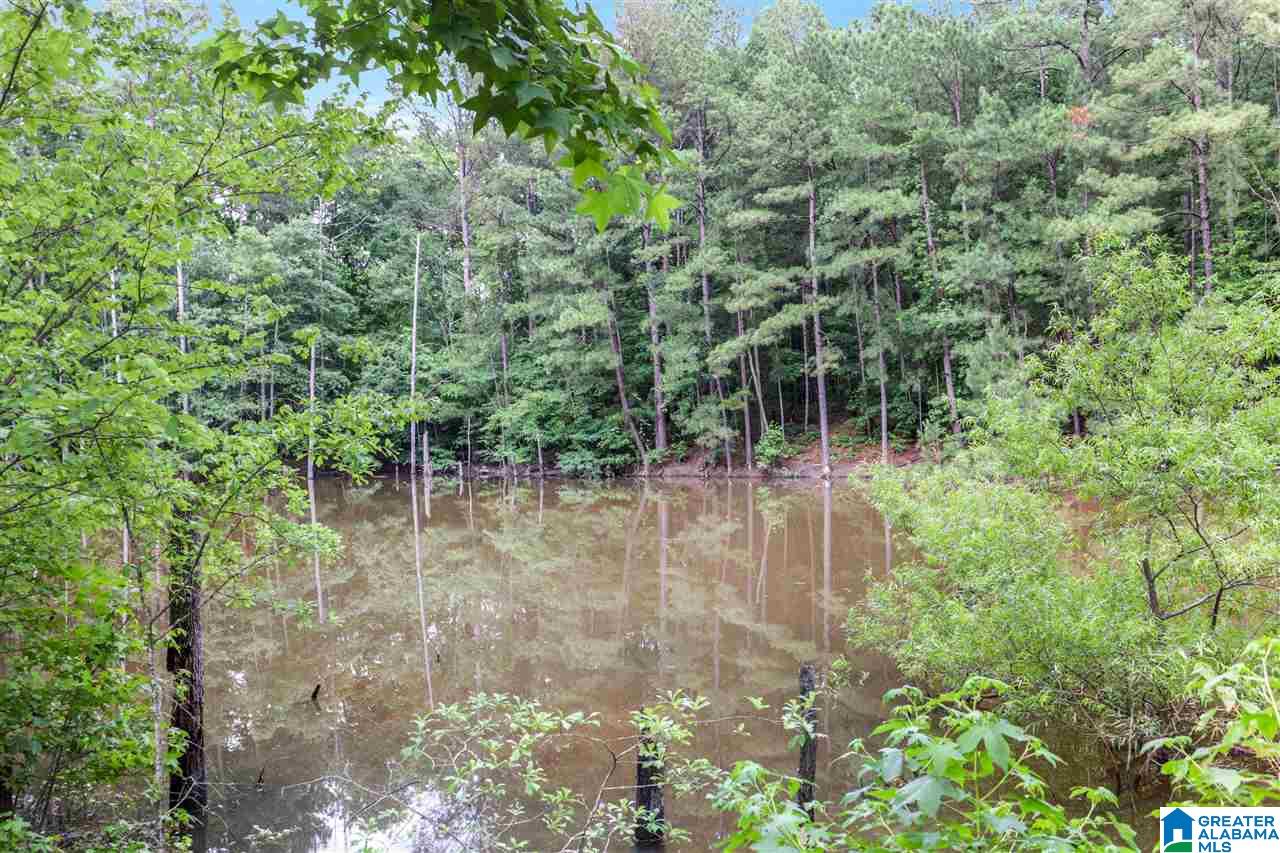 615 Pine Ridge Road Pell City, AL 35125 - Photo 24 of 25