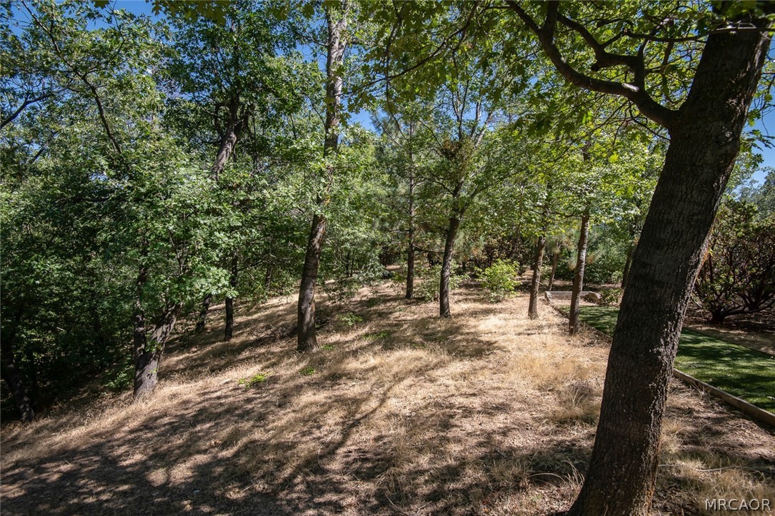 0 North Shore Road Lake Arrowhead, CA 92352 - Photo 3 of 9