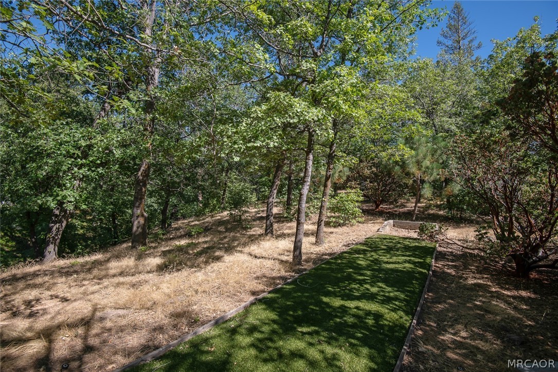 0 North Shore Road Lake Arrowhead, CA 92352 - Photo 4 of 9