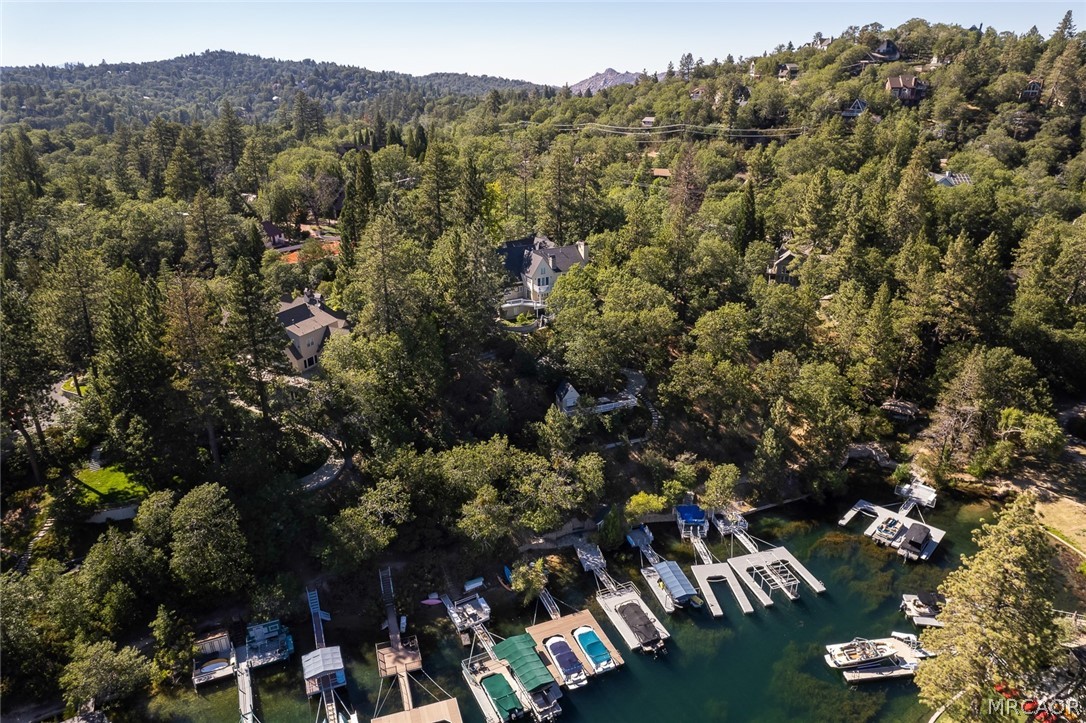 0 North Shore Road Lake Arrowhead, CA 92352 - Photo 7 of 9