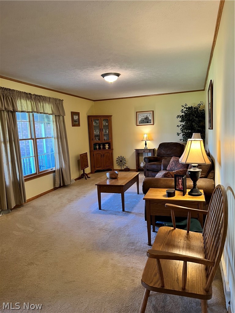 8160 Greenwich Road Lodi, OH 44254 - Photo 8 of 29 Bright, cheery living room.