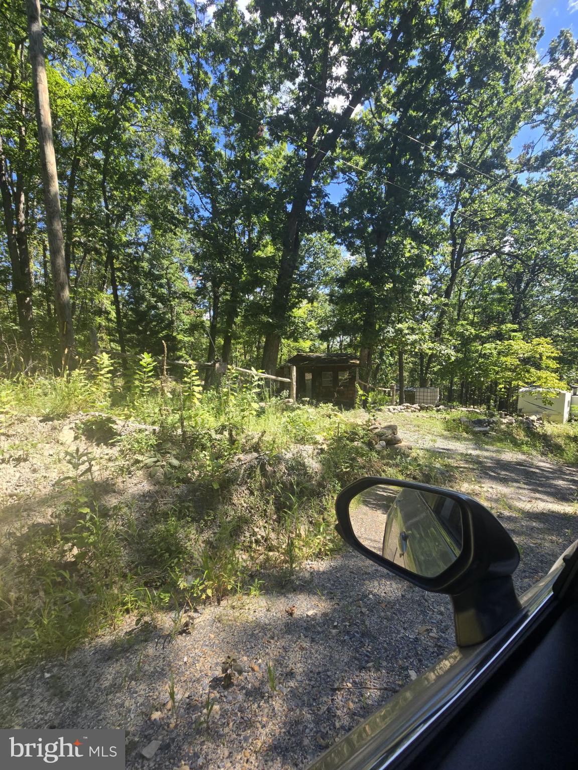 0 White Oak Road Luray, VA 22835 - Photo 5 of 6 a backyard of a house with a yard and large trees