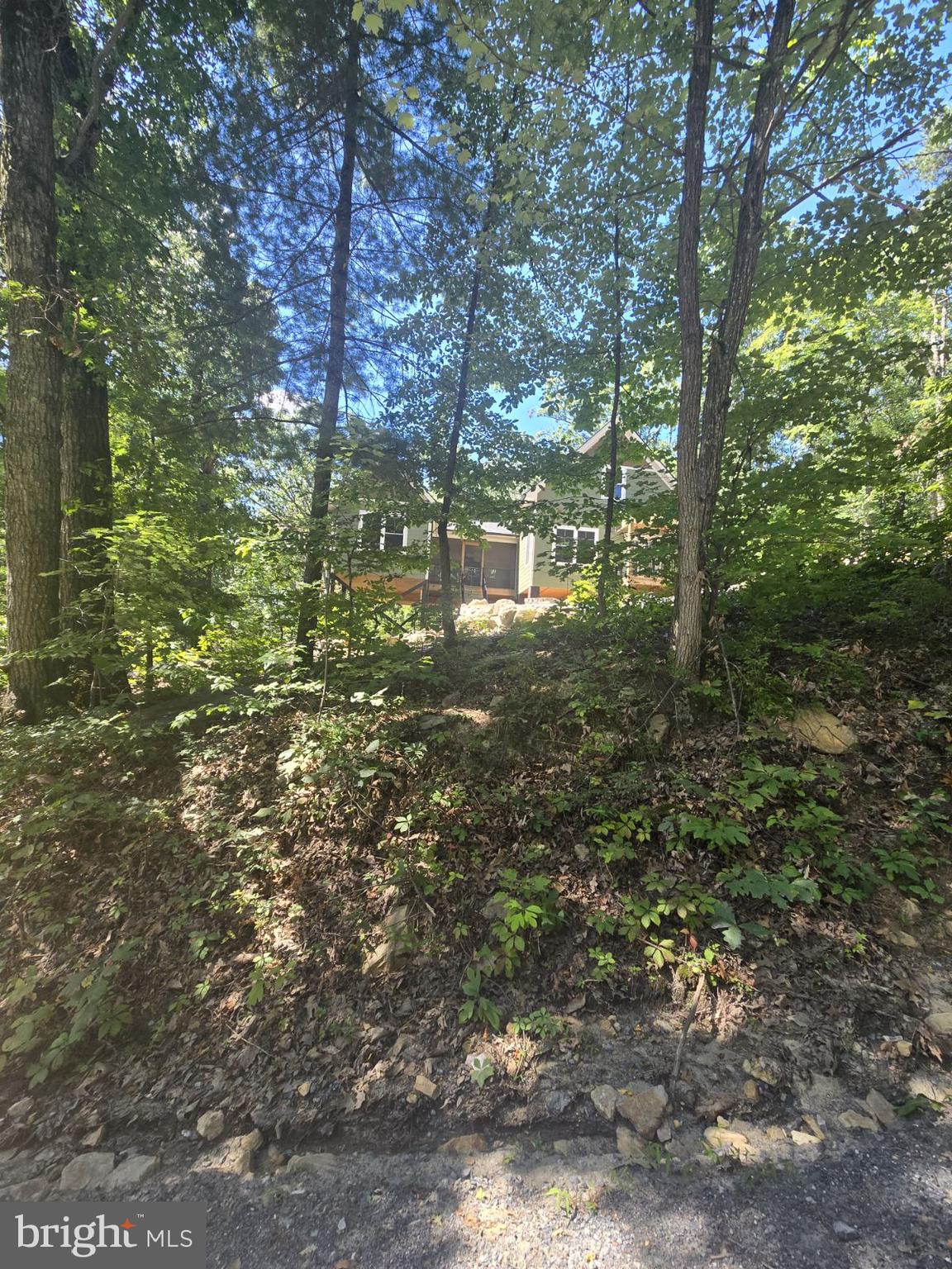 0 White Oak Road Luray, VA 22835 - Photo 6 of 6 a backyard of a house with lots of green space