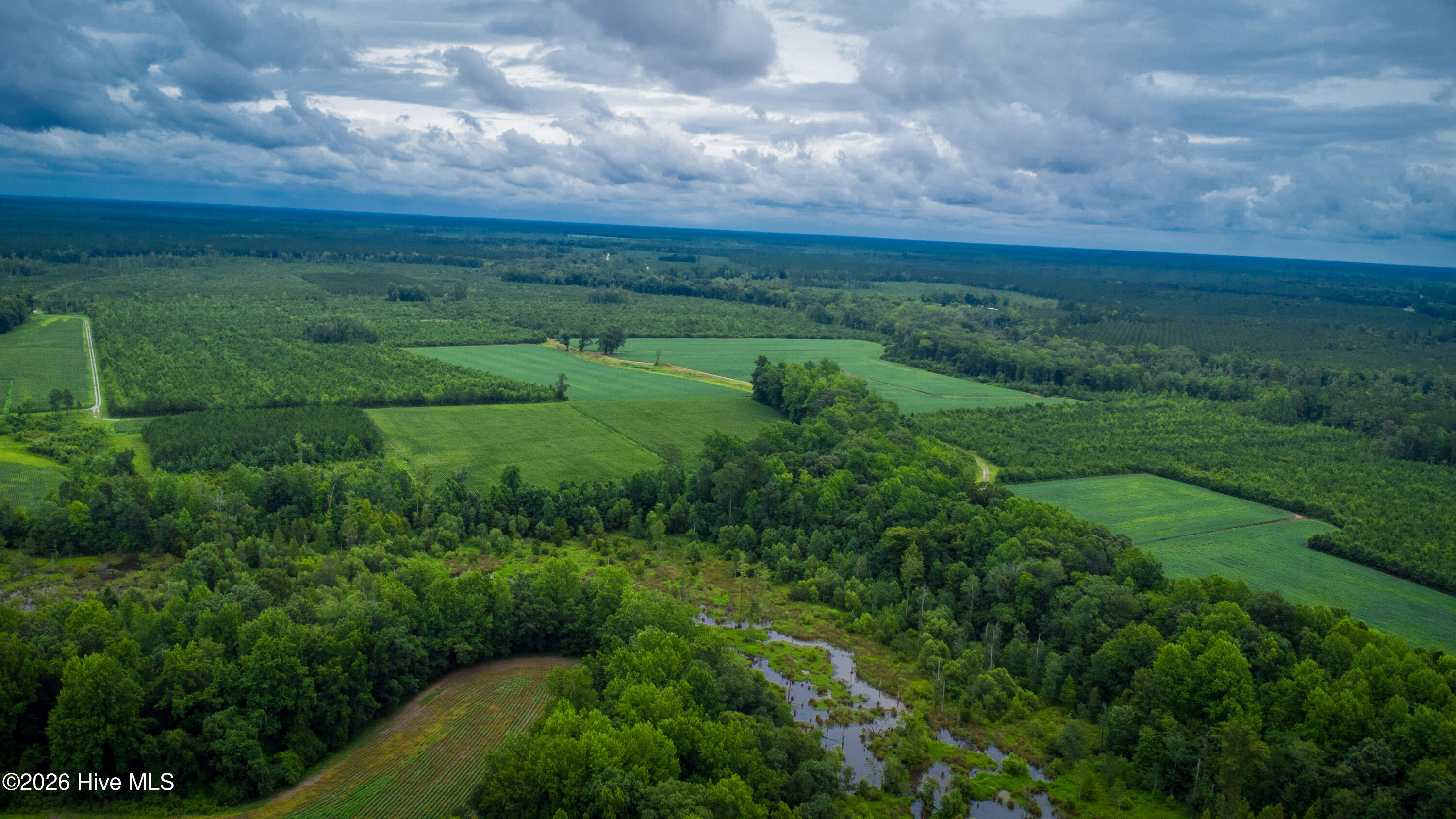 1601 Hill Neck Road Ernul, NC 28527 - Photo 10 of 33 Over 230 Acres of Opportunity