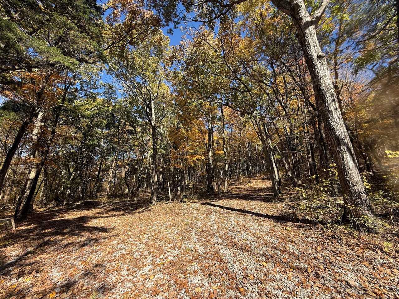 0 Blue Level Road Rockfield, KY 42274 - Photo 10 of 24 Gallery Image 10