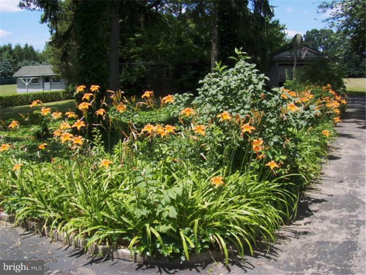 179 Big Oak Road Bridgeton, NJ 08302 - Photo 3 of 25 Front Yard