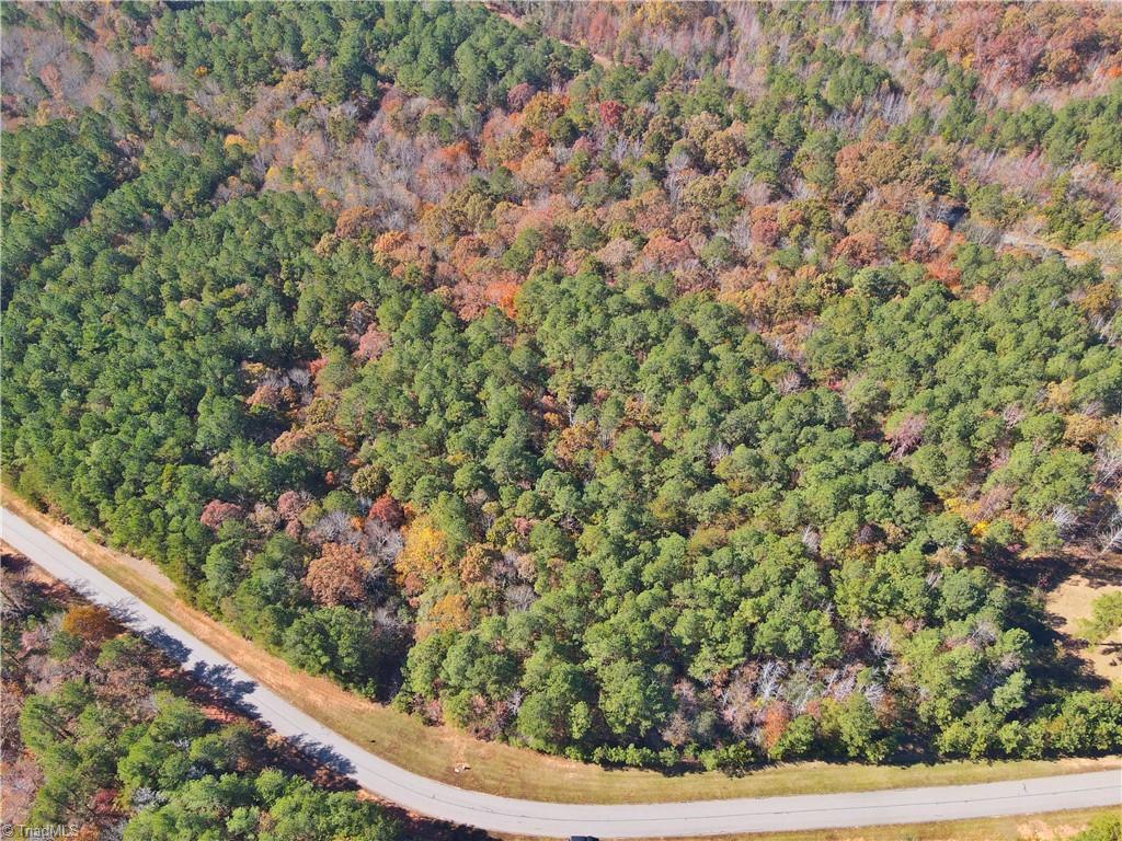 193 North State Lane Rockingham, NC 28379 - Photo 6 of 16