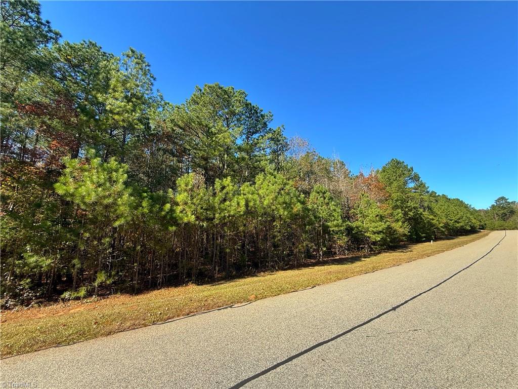 193 North State Lane Rockingham, NC 28379 - Photo 9 of 16