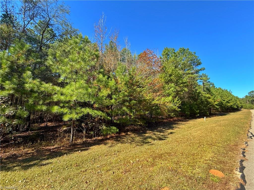 193 North State Lane Rockingham, NC 28379 - Photo 10 of 16