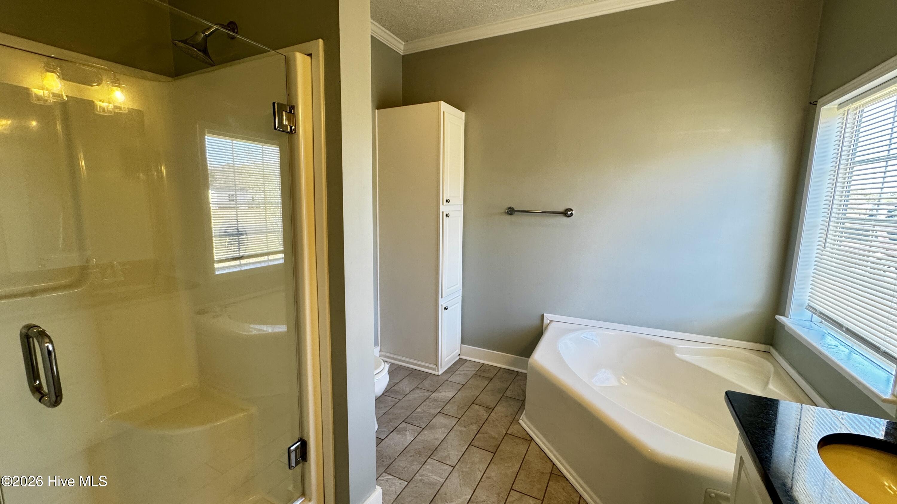 1126 Haw Branch Road Beulaville, NC 28518 - Photo 9 of 15 Master bathroom 2