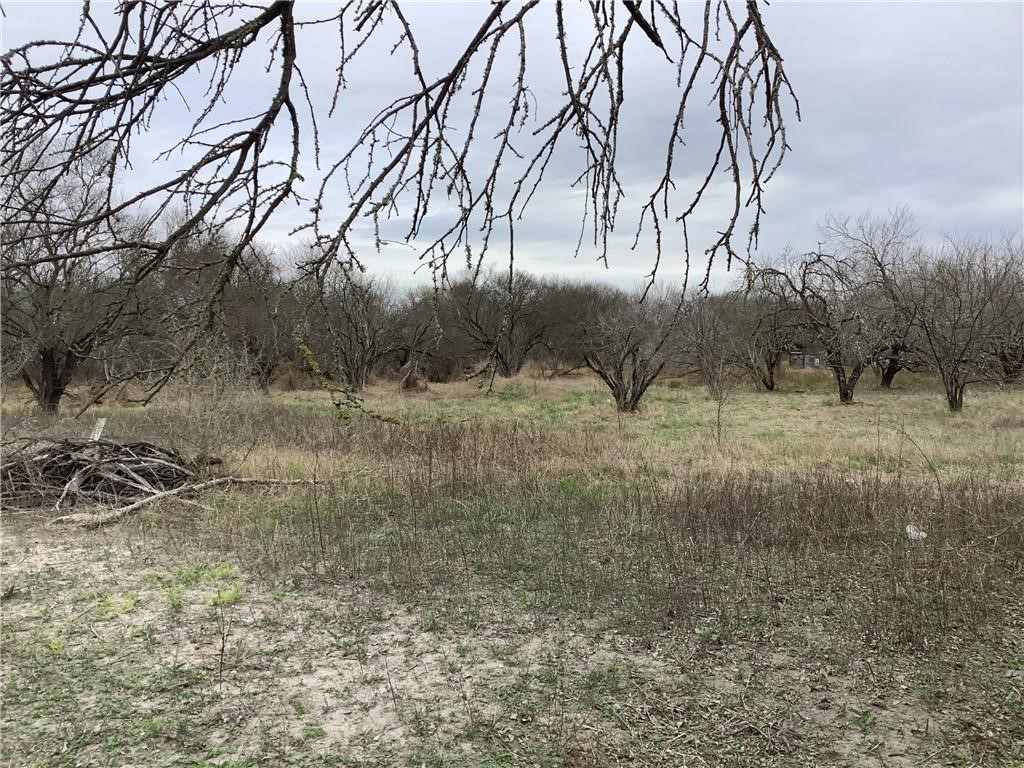 17 Chuckwagon Road Robstown, TX 78380 - Photo 3 of 3 a view of a field with trees around