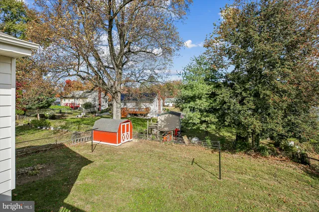 a view of a park with large trees