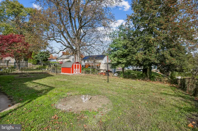 a view of a park with large trees
