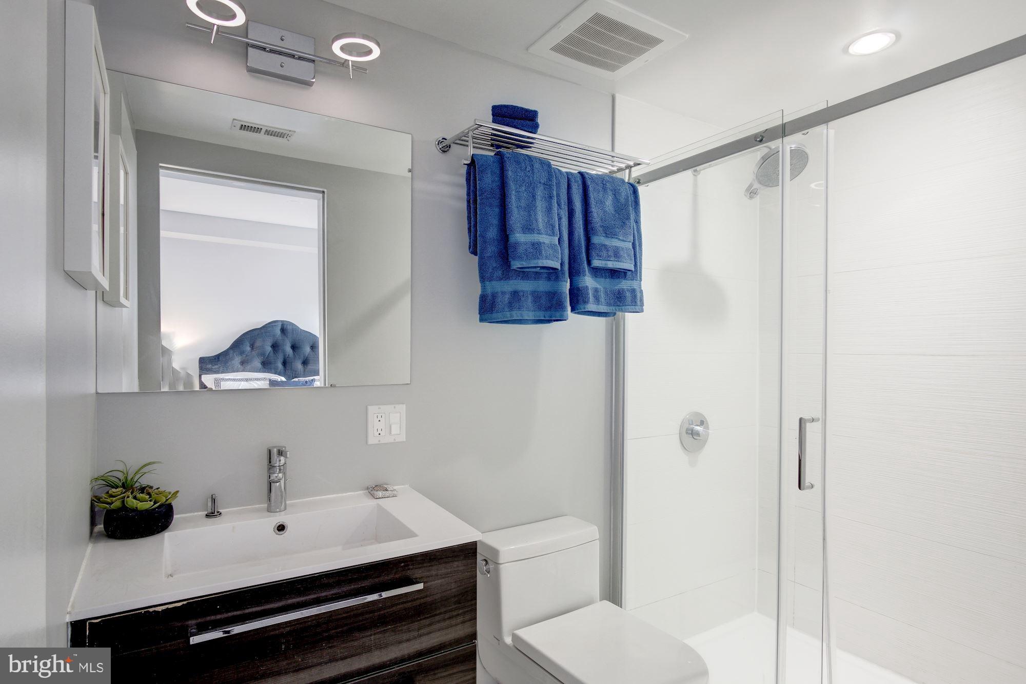 2422-2424 17th Street Northwest, Unit 301 Washington, DC 20009 - Photo 19 of 31 a bathroom with a shower a sink and a mirror