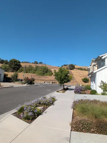 a view of a road with a ocean view