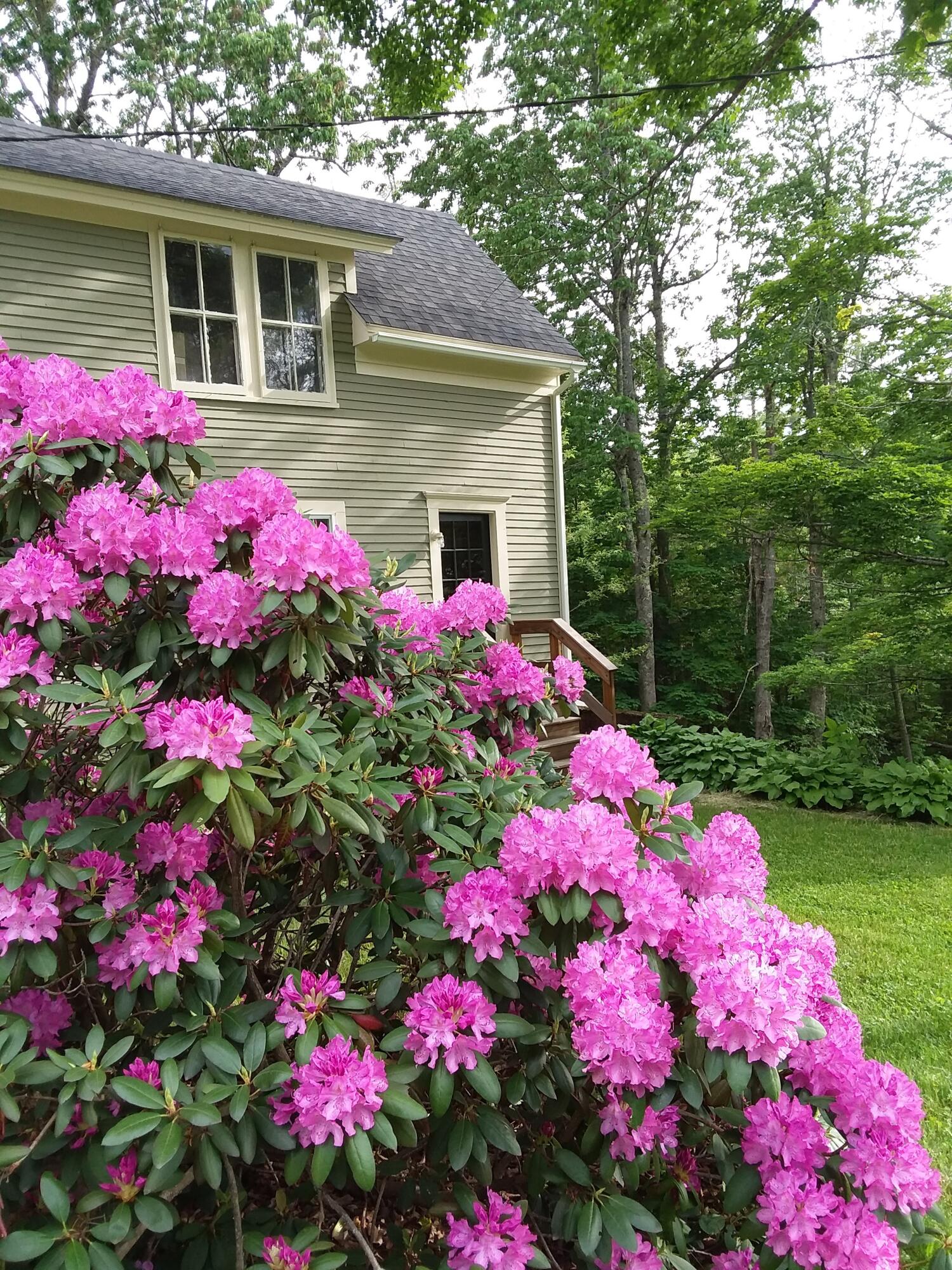8 Jewell Street Brooks, ME 04921 - Photo 11 of 53 Front Rhodo