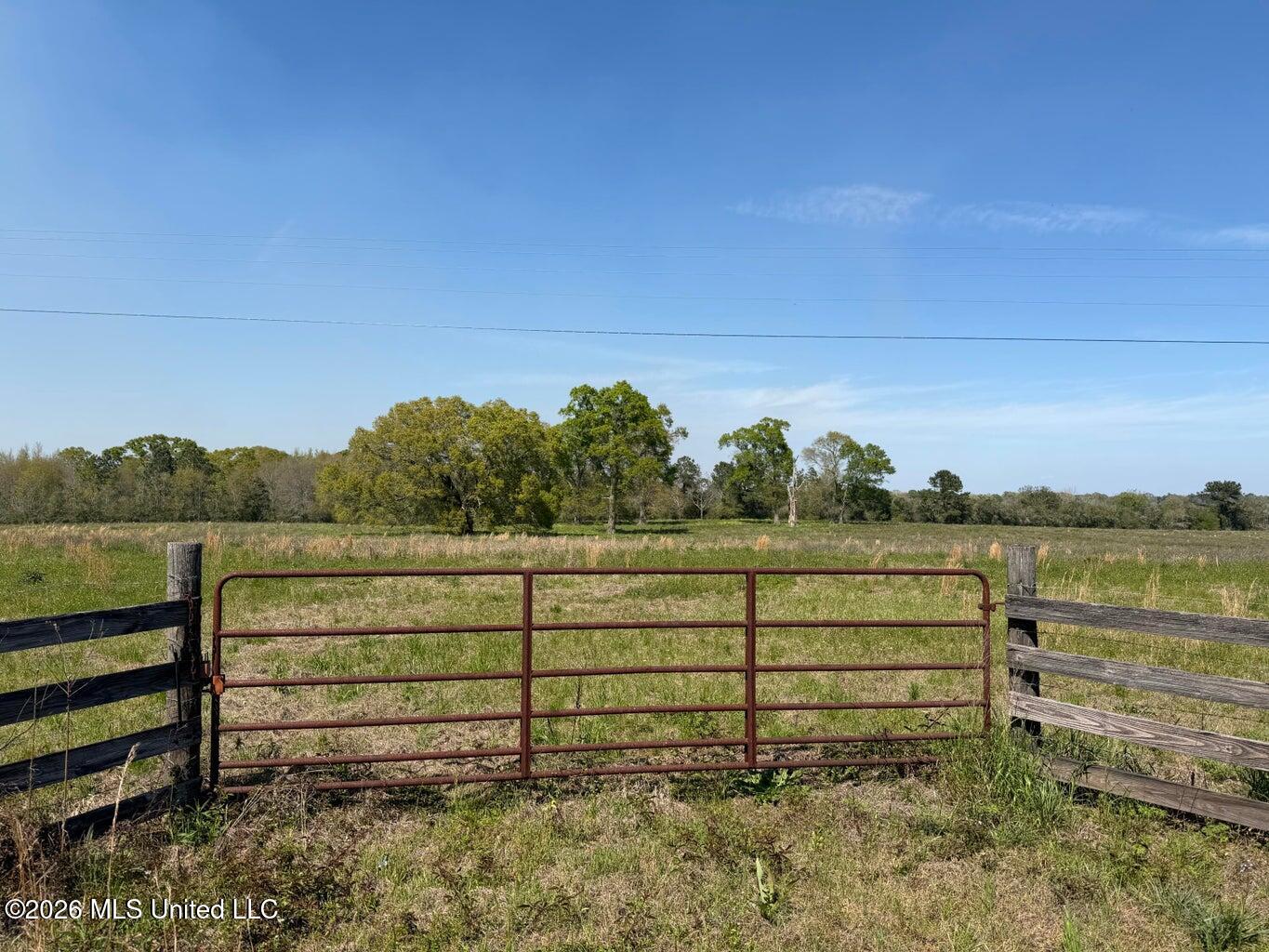 Magnolia RD