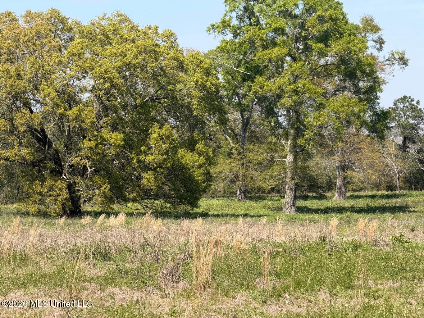 11.74 Magnolia Road Perkinston, MS 39573 - Photo 3 of 7 magnoliard3