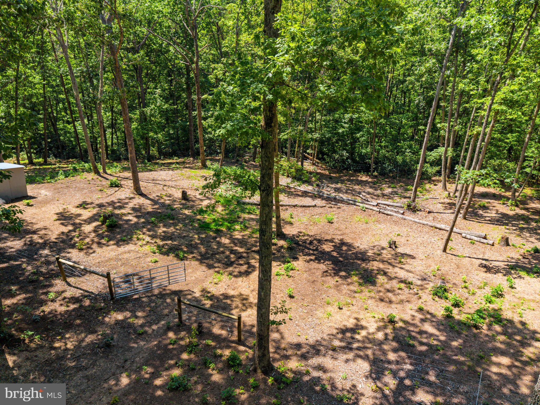 10275 Mountain Run Lake Road Culpeper, VA 22701 - Photo 85 of 89