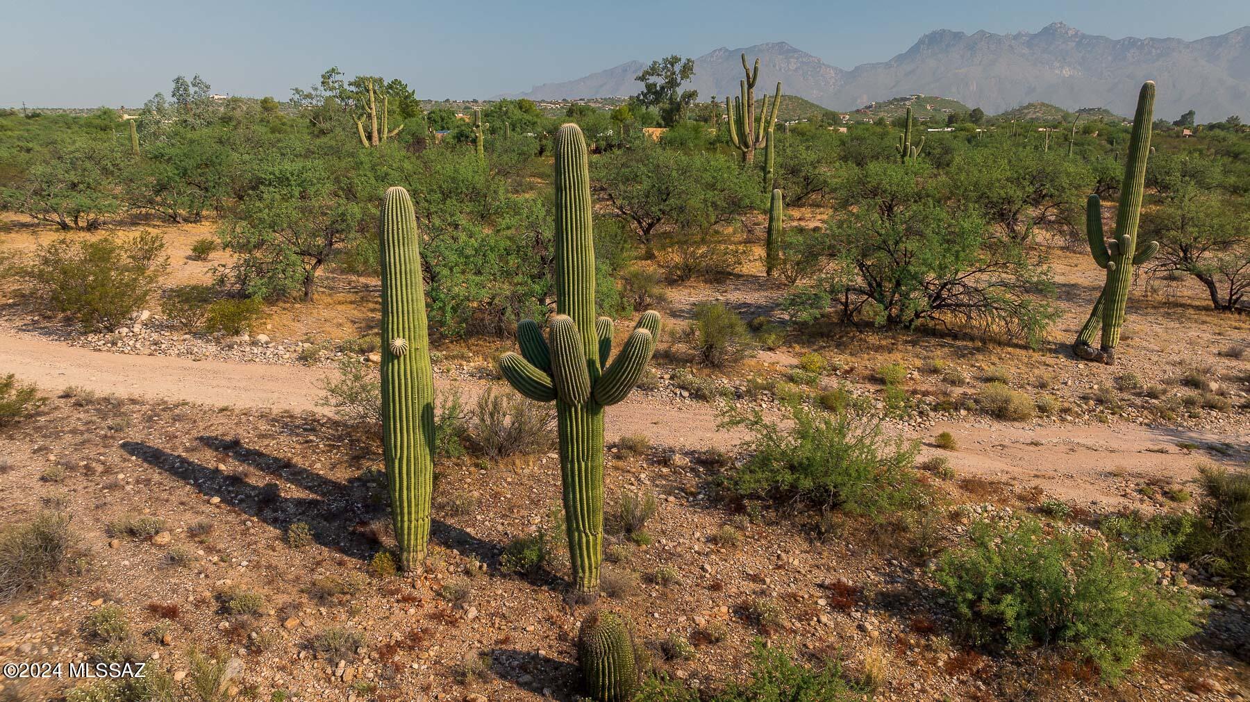 0 East Prince Road Tucson, AZ 85750 - Photo 21 of 32