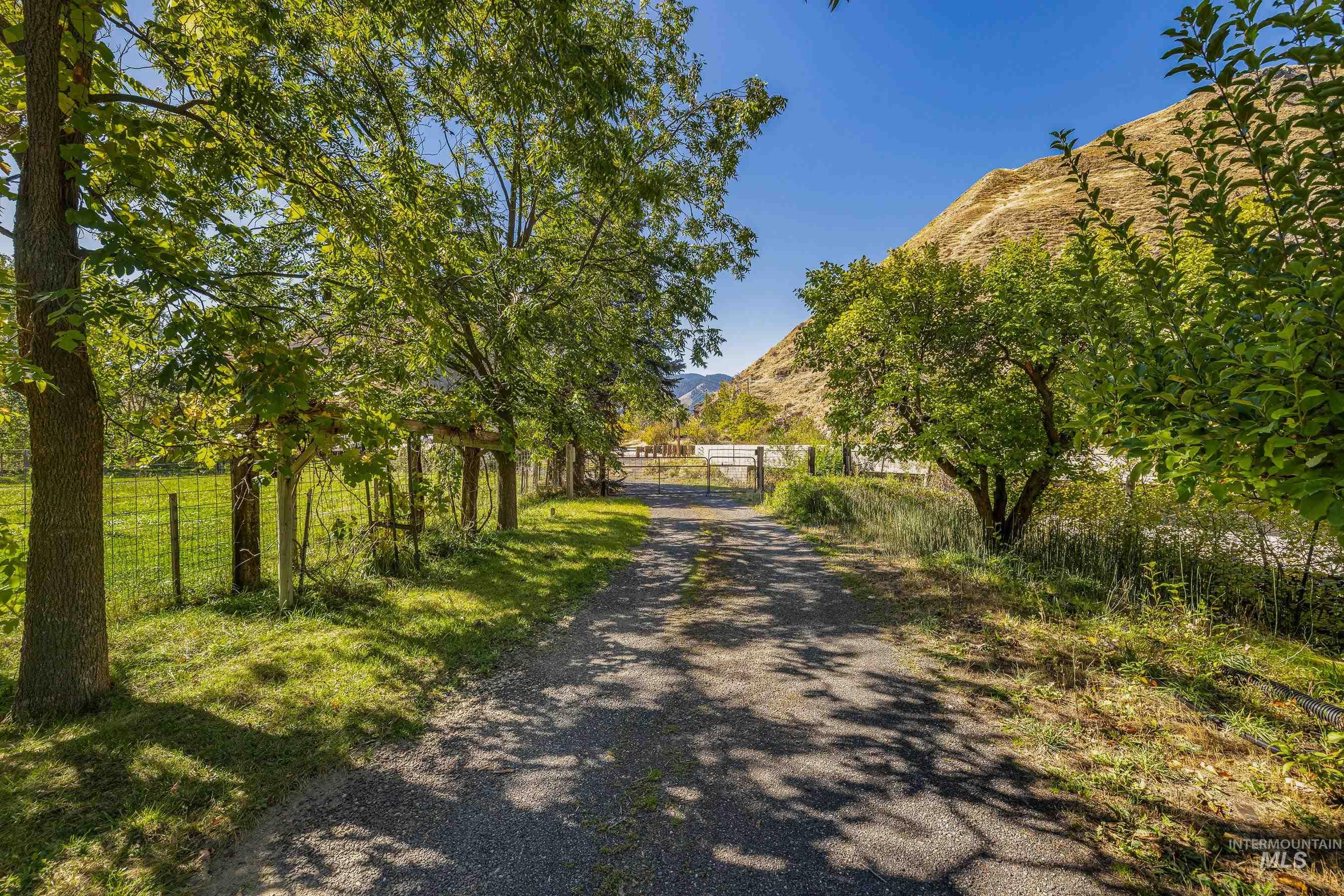 7026 S Highway Riggins, ID 83549 - Photo 9 of 50 Gravel driveway with mature trees, a white gate, and distant hillside