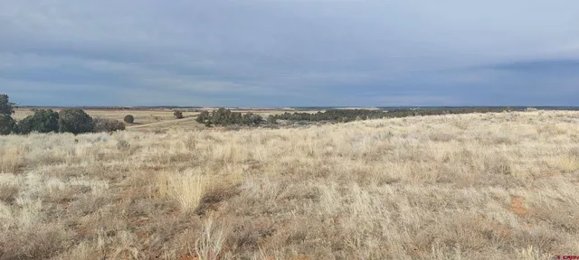 a view of wooden floor and in a yard