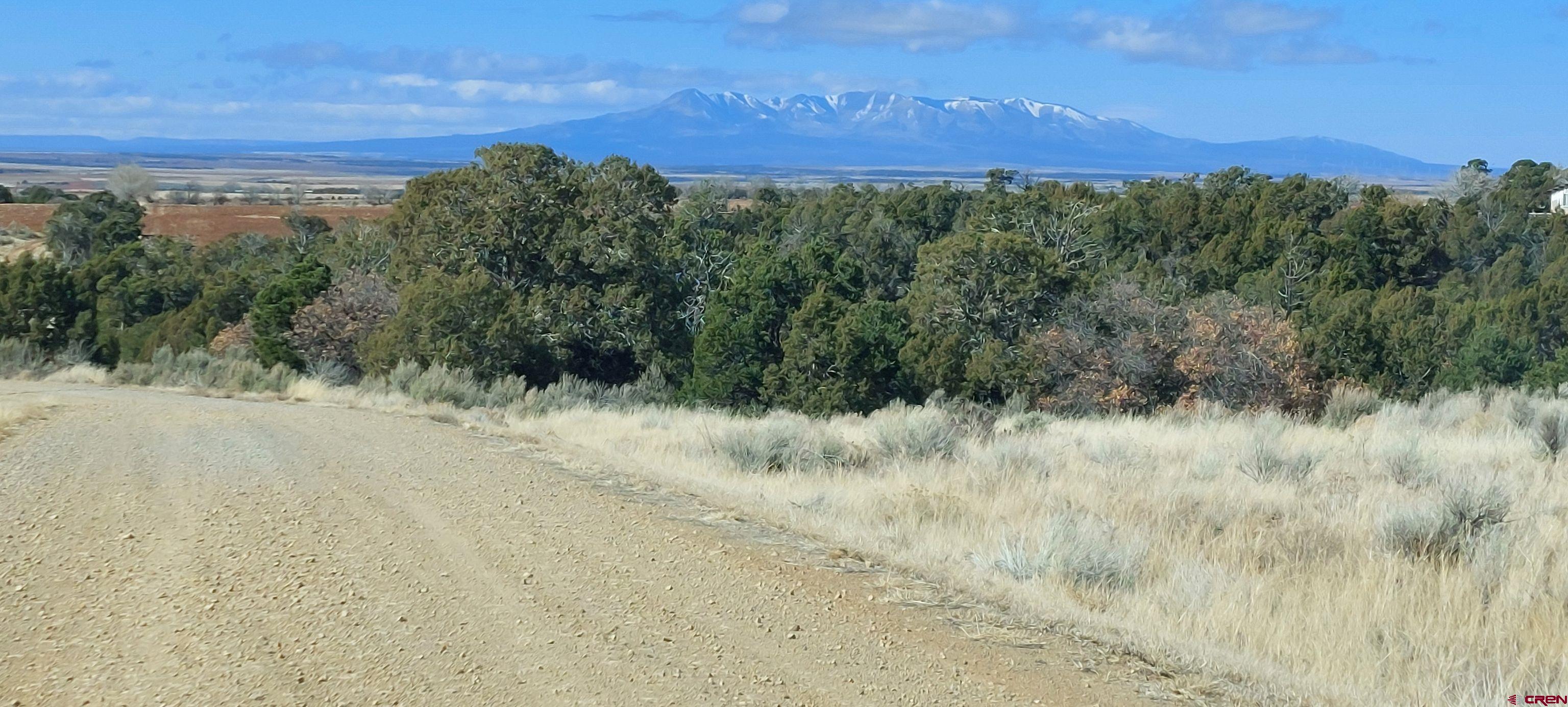 14134 Road N 3 Road Cahone, CO 81320 - Photo 4 of 13 a view of a field